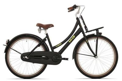 Bikefun 20 inch meisjesfiets met drager