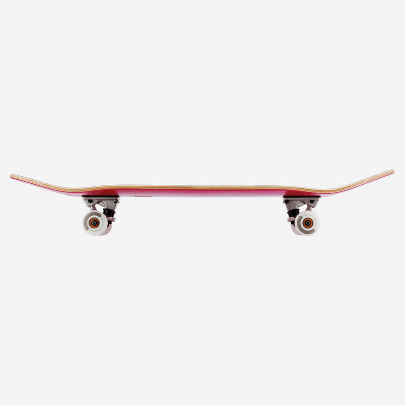 BTFL PLANTS - Skateboard komplett 8.125" Anfänger und Fortgeschrittene