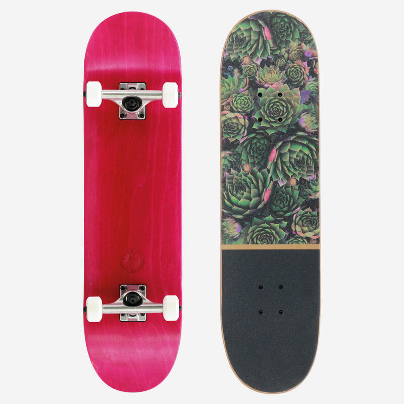 BTFL PLANTS - Skateboard komplett 8.125" Anfänger und Fortgeschrittene