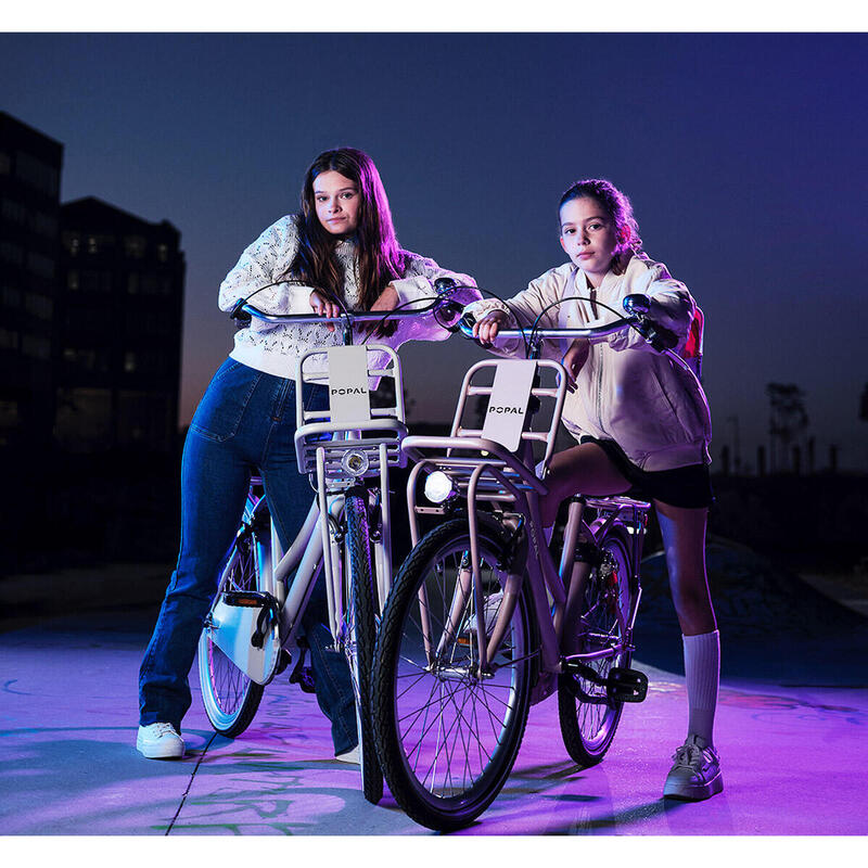 Vélo Enfant Hollandais Popal Daily Dutch Basic+ N3 - 22 pouces - Rose Saumon