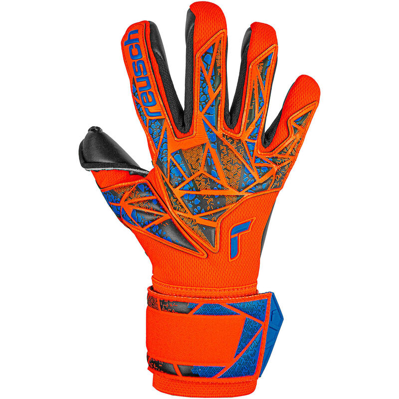 REUSCH Gants de gardien Attrakt Duo