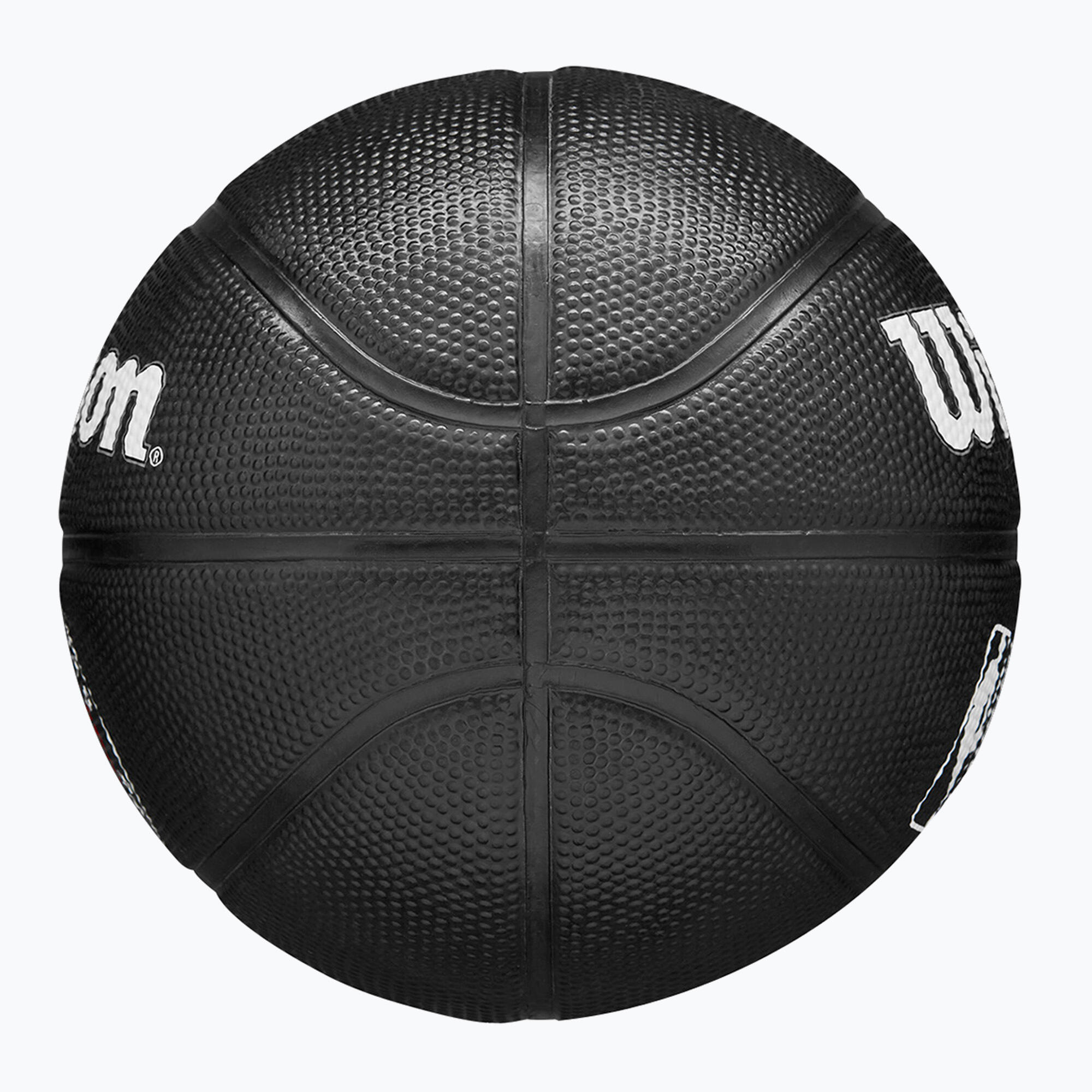 Dziecięca/Kids Team Tribute Toronto Raptors NBA Mini Basketball 4/5