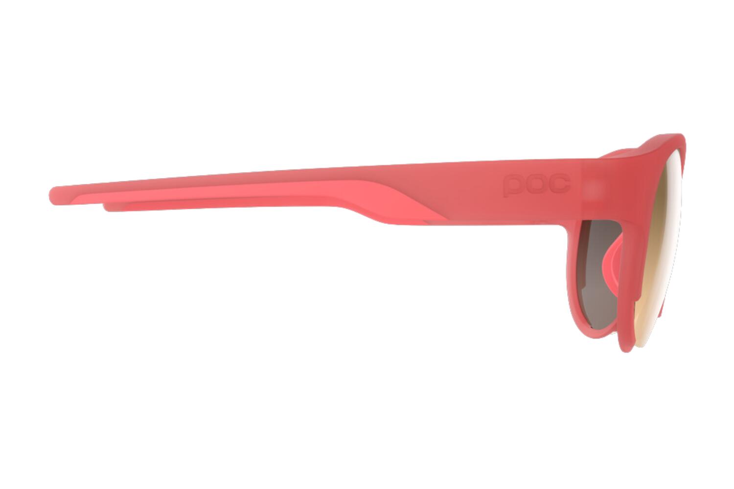 Lunettes de soleil POC Avail S2 2/3