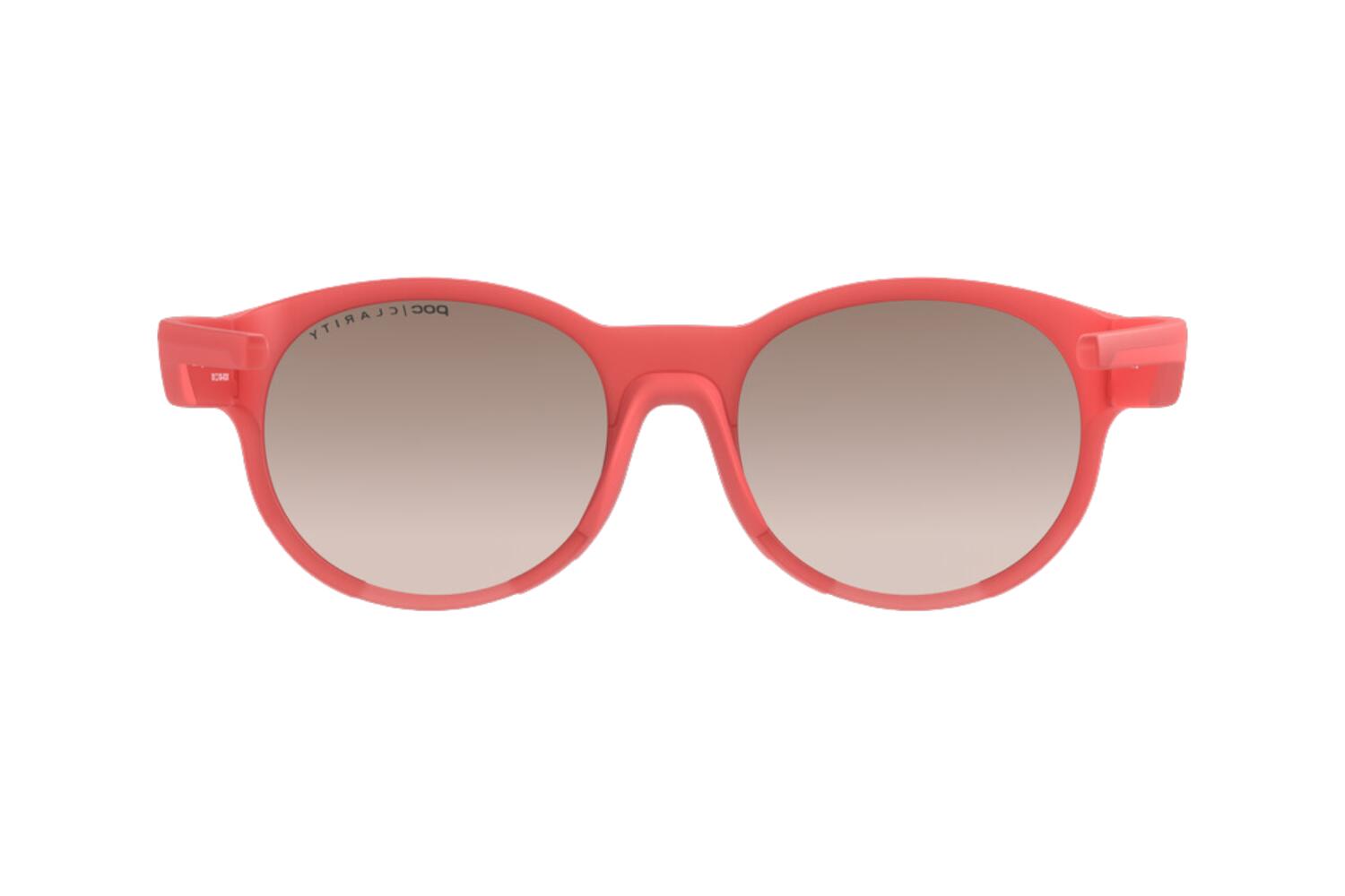 Lunettes de soleil POC Avail S2 3/3