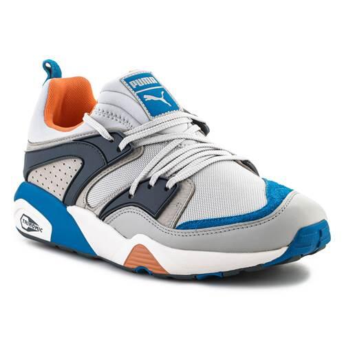 PUMA picture