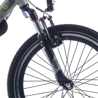 Alpina 20 inch trial verende voorvork zwart