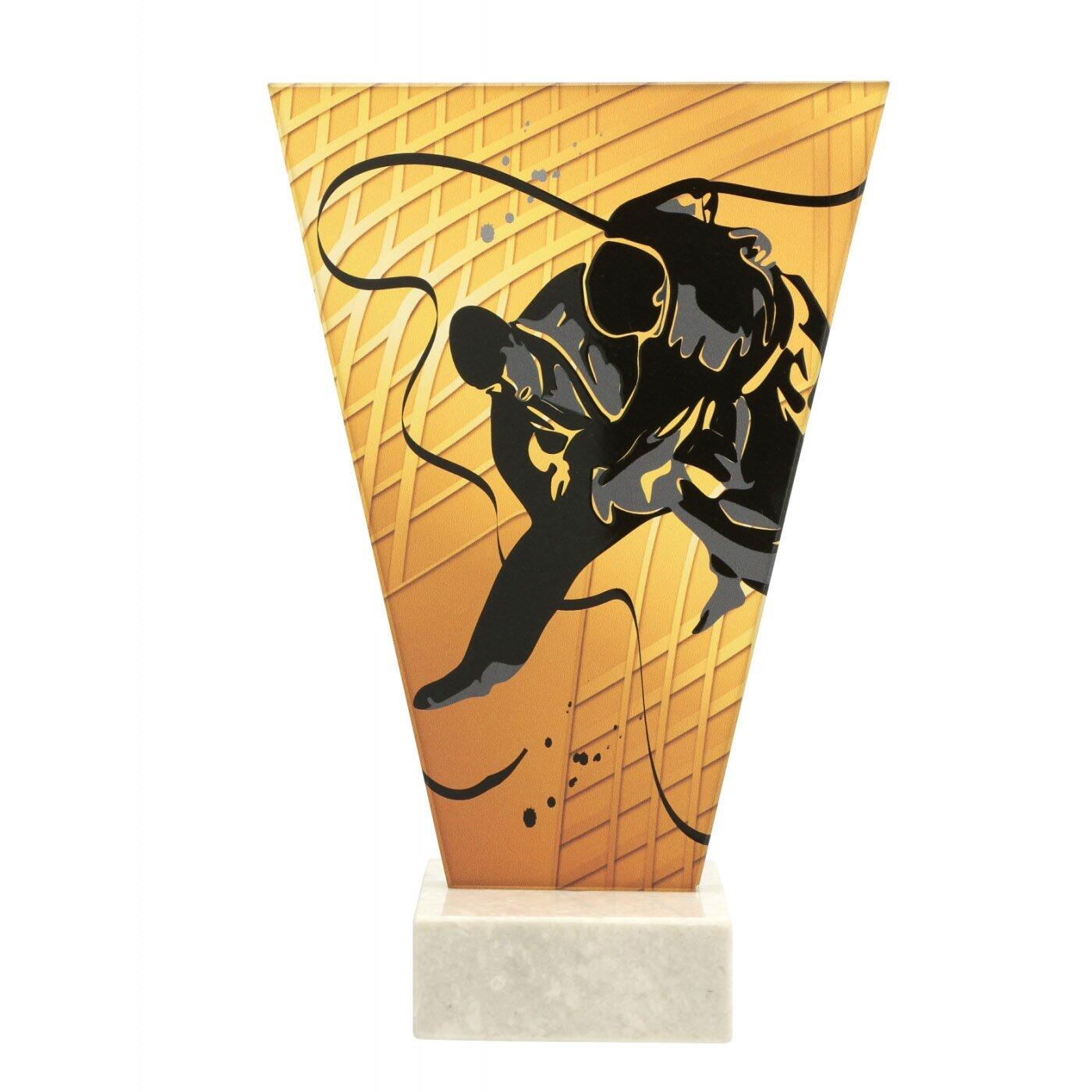 Trofeu sticla Judo VL1/JUD