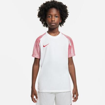 Nike CAMISETA Dri-FIT Academy DH8369-100