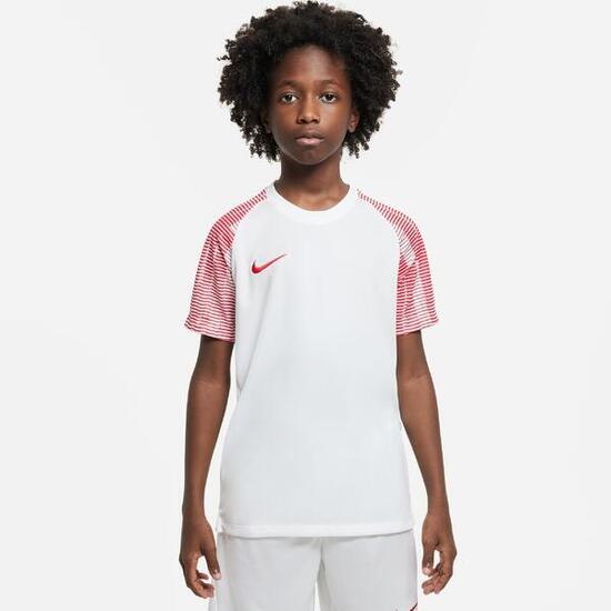 Nike CAMISETA Dri-FIT Academy DH8369-100