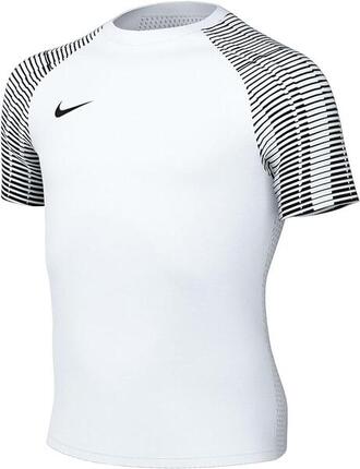 Nike Dri-FIT Academy T-SHIRT DH8369-104