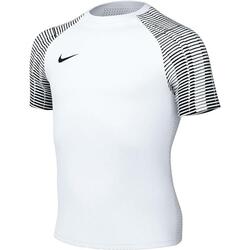 Nike Dri-FIT Academy T-SHIRT DH8369-104