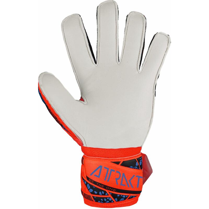 Gants de gardien enfant Reusch Attrakt Solid Finger Support