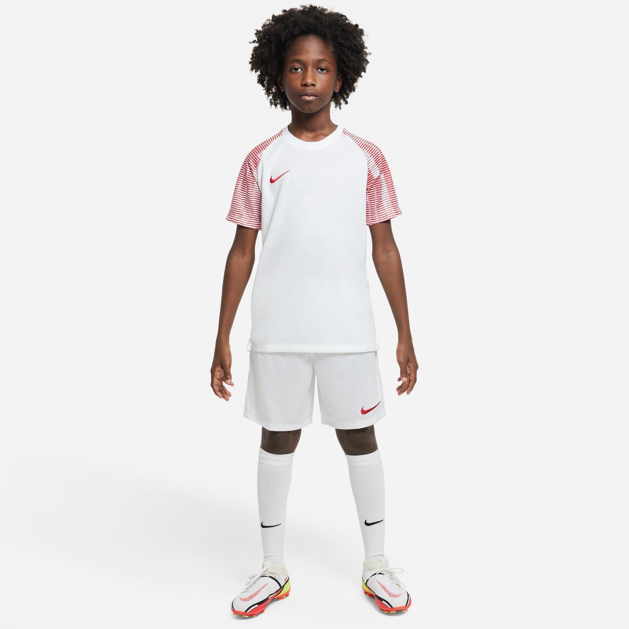 Nike Dri-FIT Academy T-SHIRT DH8369-100 3/4