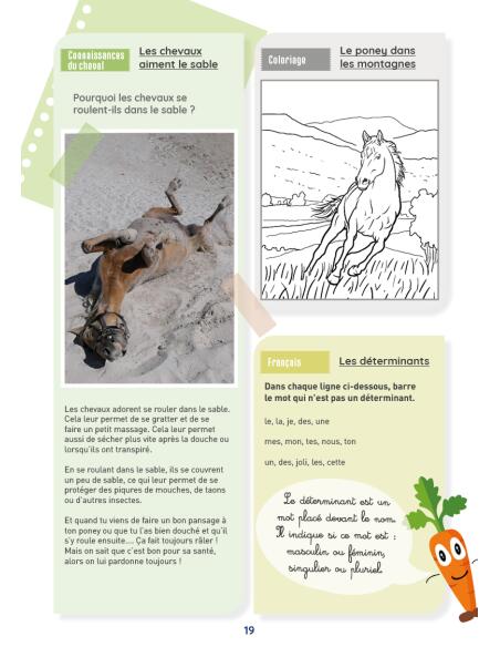 Mon cahier d'activités sur le thème du cheval - CE1 3/4