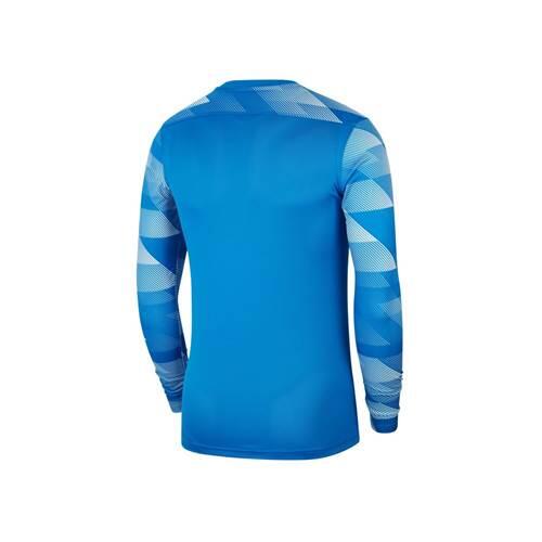 Nike Herren Torwarttrikot Park IV GK CJ6066 3/6