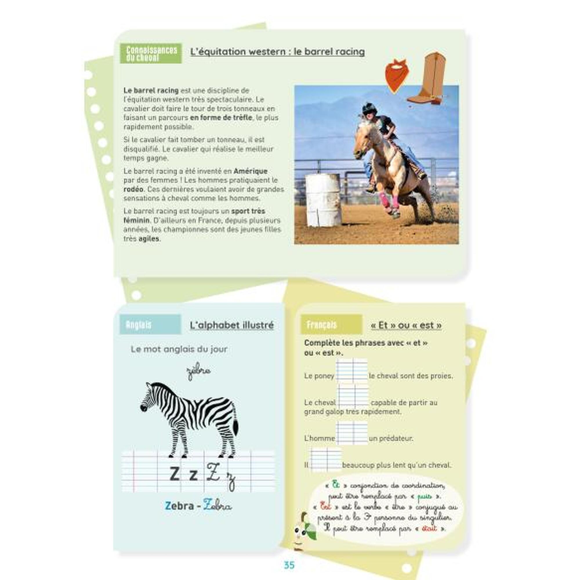 Mon cahier d'activités sur le thème du cheval - CE2