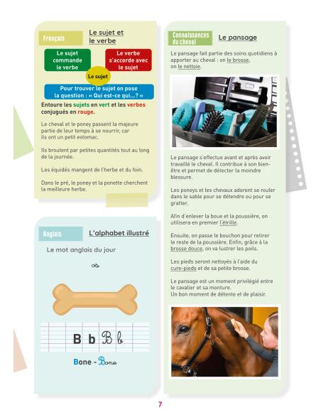 Mon cahier d'activités sur le thème du cheval - CM1 3/4