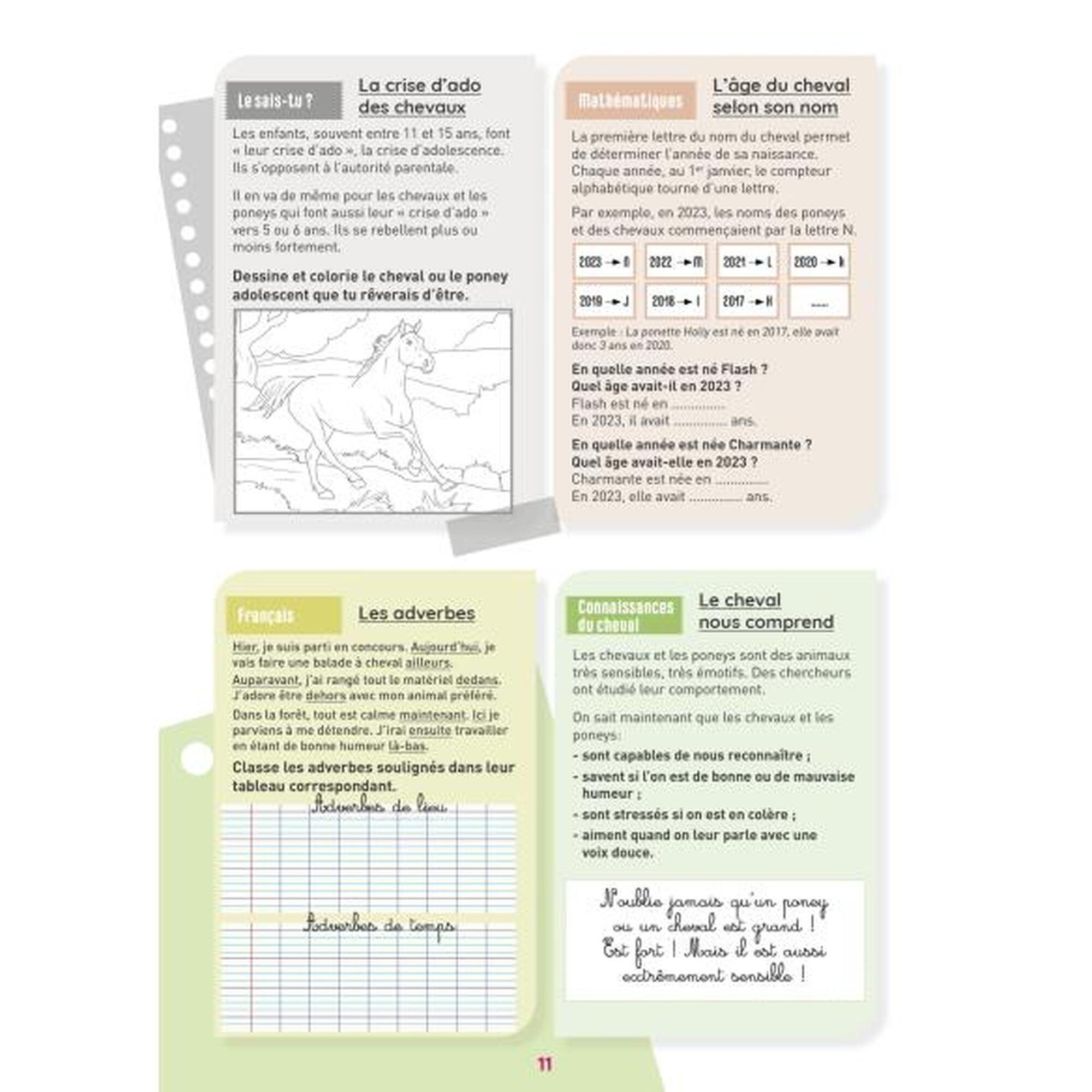 Mon cahier d'activités sur le thème du cheval - CM1