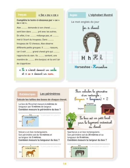 Mon cahier d'activités sur le thème du cheval - CM2 4/4