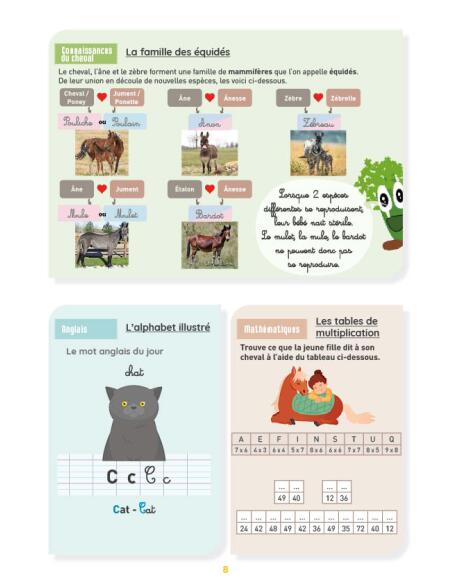 Mon cahier d'activités sur le thème du cheval - CM2 3/4