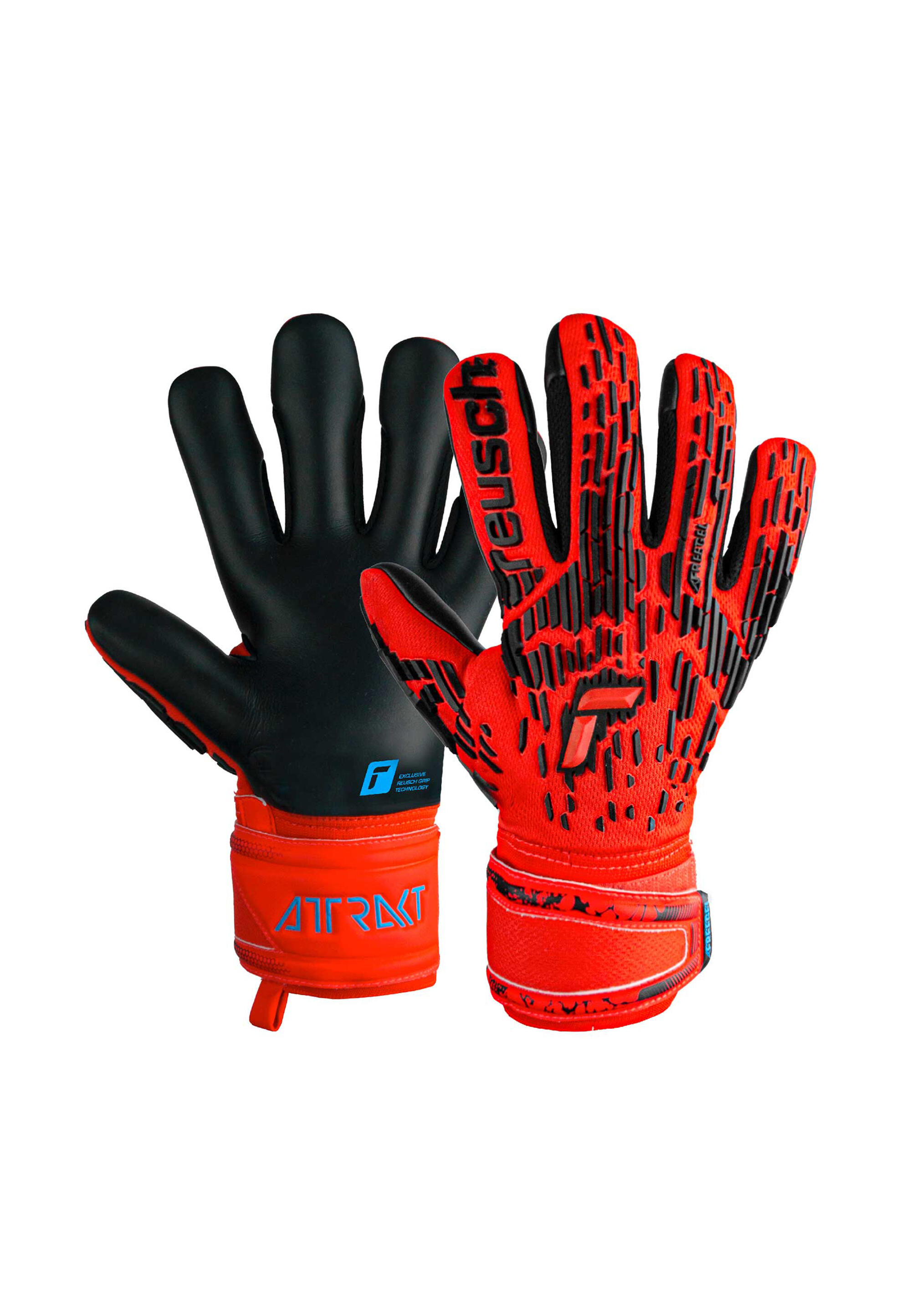 REUSCH picture