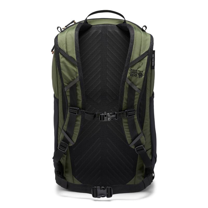 Daypacks / Field Day 22L Backpack - Surplus Green