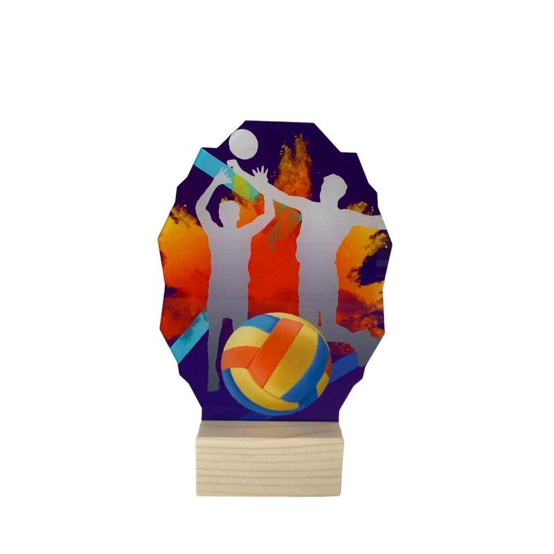 Trofeu din Plexiglas Volei 2