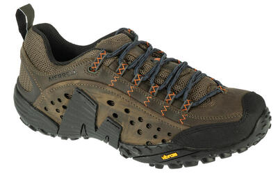 Trekkingschoenen voor heren intercept
