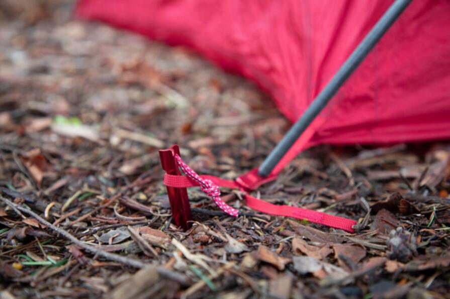 MSR Groundhog Stake Kit - Haringen Set - Rood 4/5
