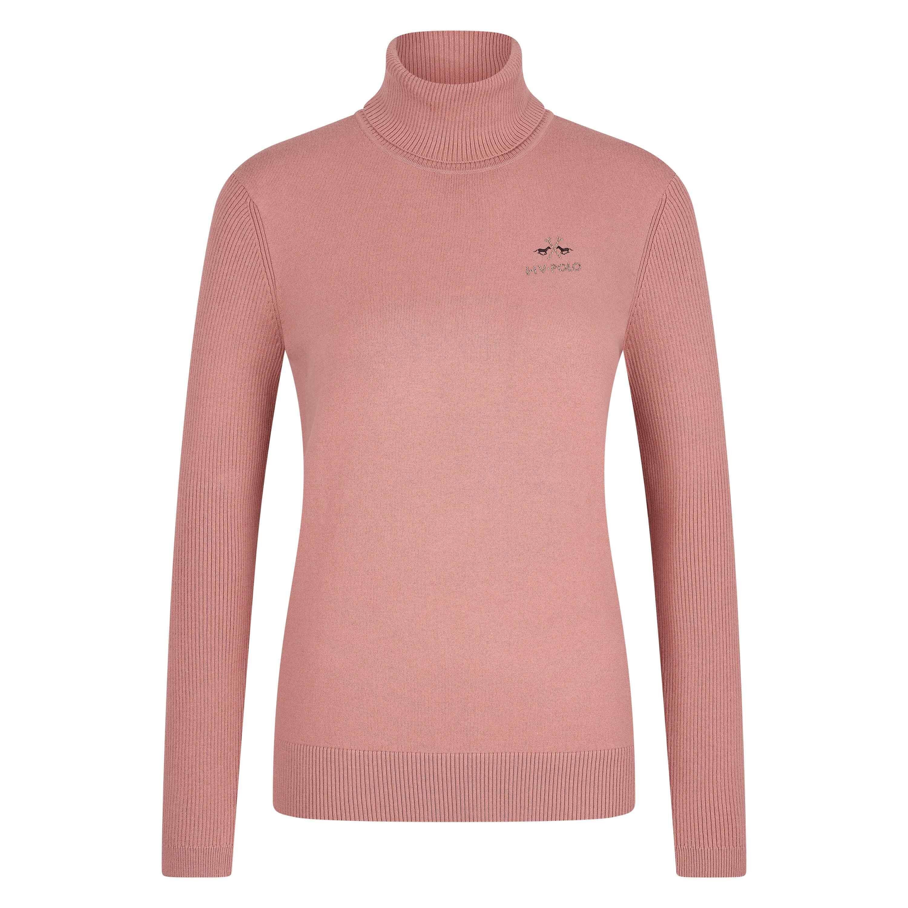 HV POLO picture