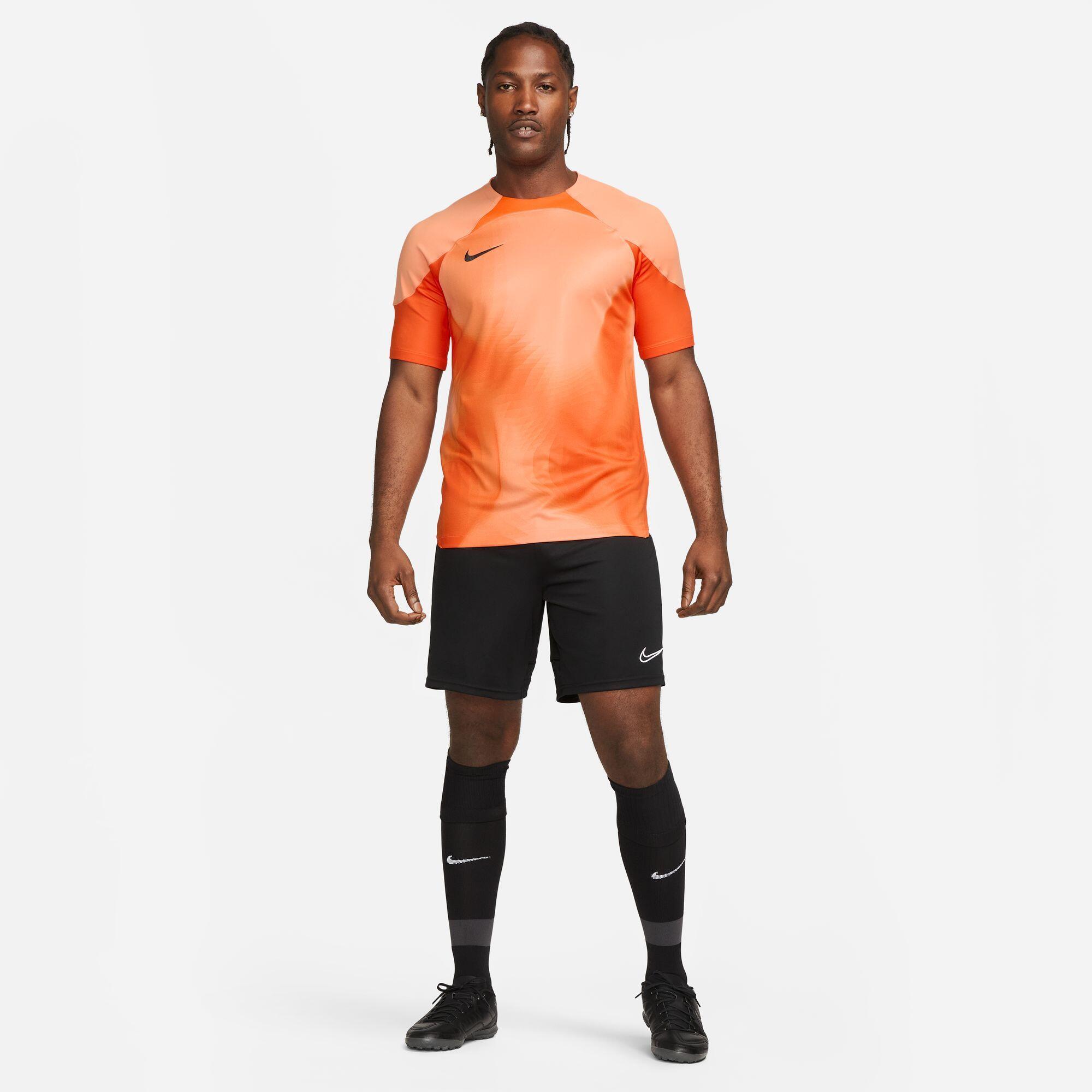 Nike Herren Torwarttrikot Dri-FIT ADV Gardien IV DH7760 4/4
