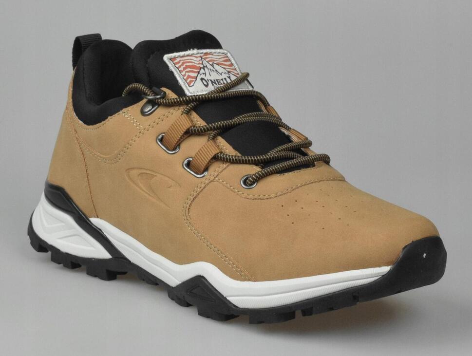 Buty sportowe dla mężczyzn Longs Peak Low