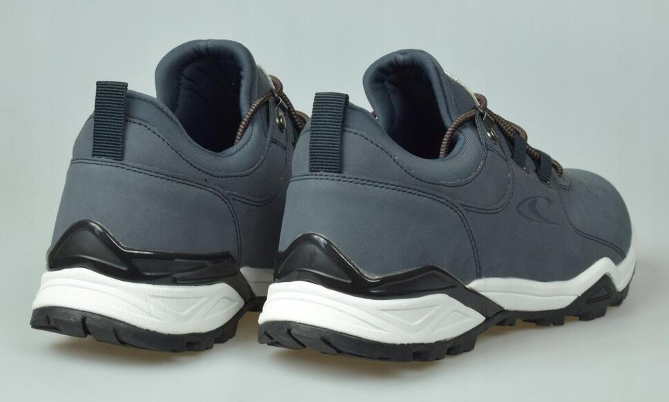 Buty sportowe dla mężczyzn Longs Peak Low