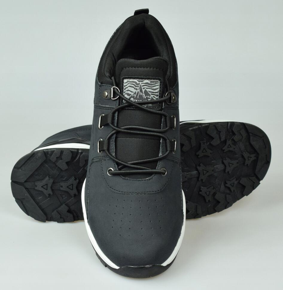 Buty sportowe dla mężczyzn Longs Peak Low