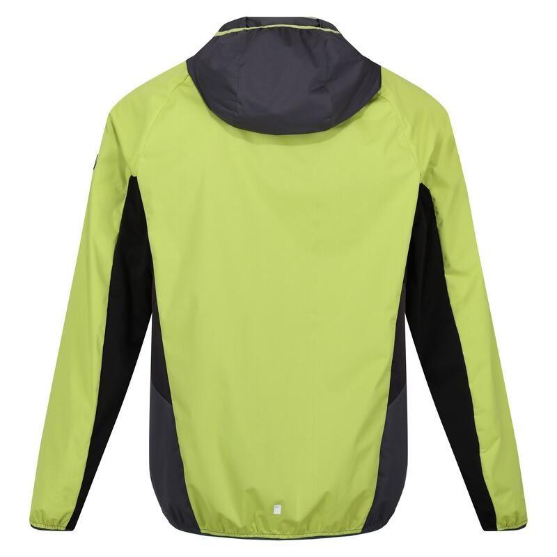 Veste softshell TARVOS Homme (Vert algue / Cendre)