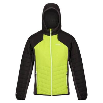 Heren trutton hooded soft shell jacket (admiraalblauw/pacifisch groen)