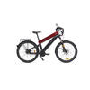 E-bike sport 1000Wh moteur central 100Nm