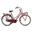 Vélo de transport Popal Daily Dutch Basic+ - Femme - 50 cm - Rouge