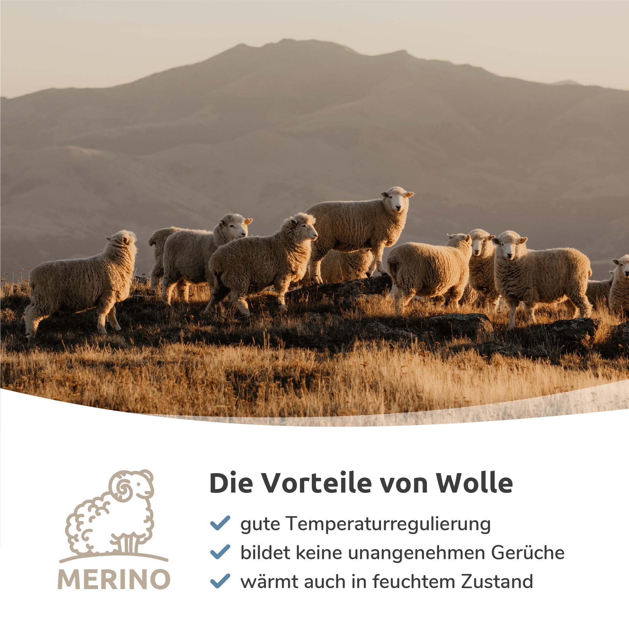 MERINO COOLMESH II quarter (knöchelhoch) 4/4