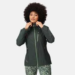 Veste de randonnée imperméable femme Birchdale