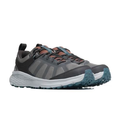 Buty do chodzenia męskie Columbia 2077411036