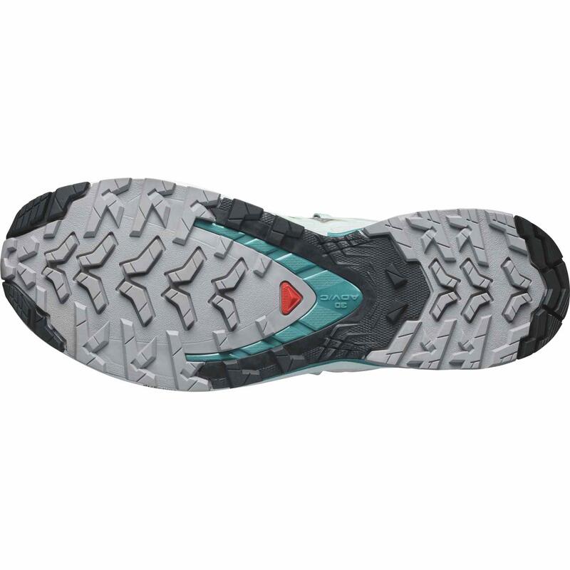 Salomon Pantofi Alergare Femei XA PRO 3D V9 W Multicolor