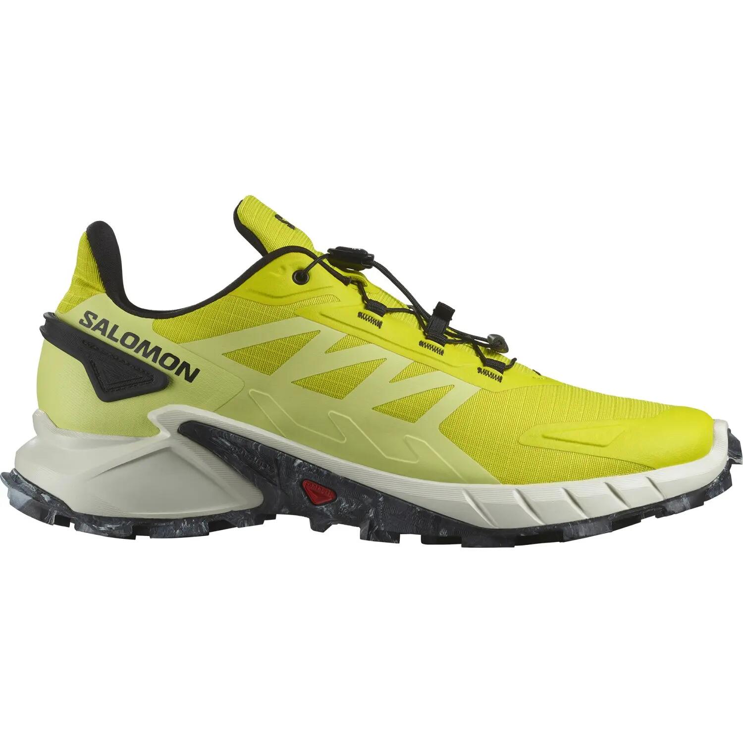 SALOMON picture