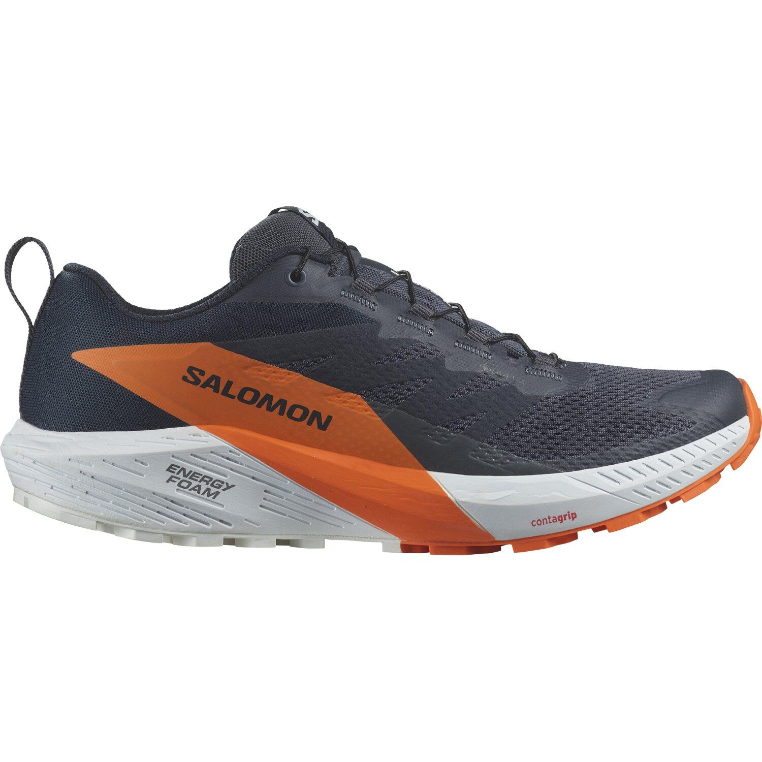 SALOMON picture