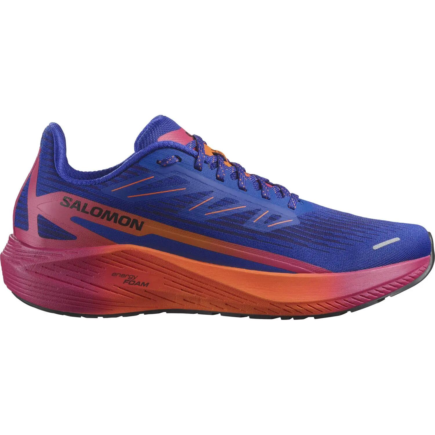 SALOMON picture