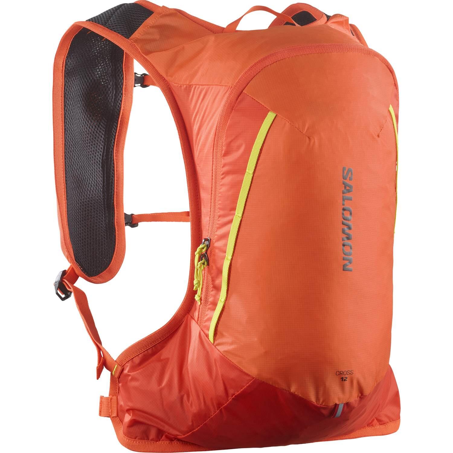 SALOMON picture