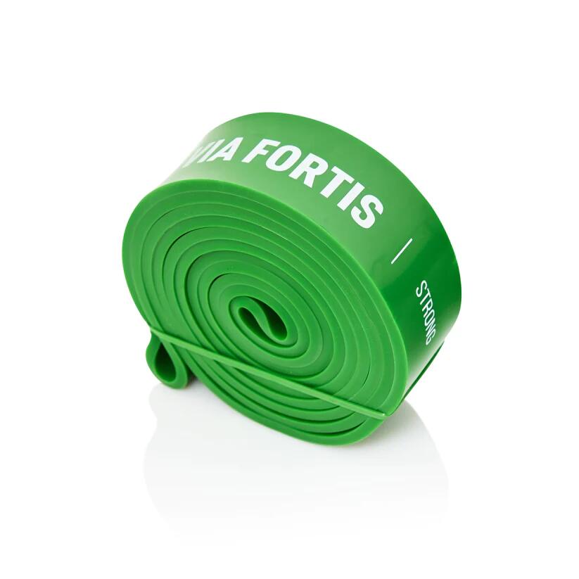 Via Fortis - Bande Élastique Avec Guide D'Exercices Pour Fitness, Gym, Étirements - Elastique D'Entraînement - Vert - Decathlon
