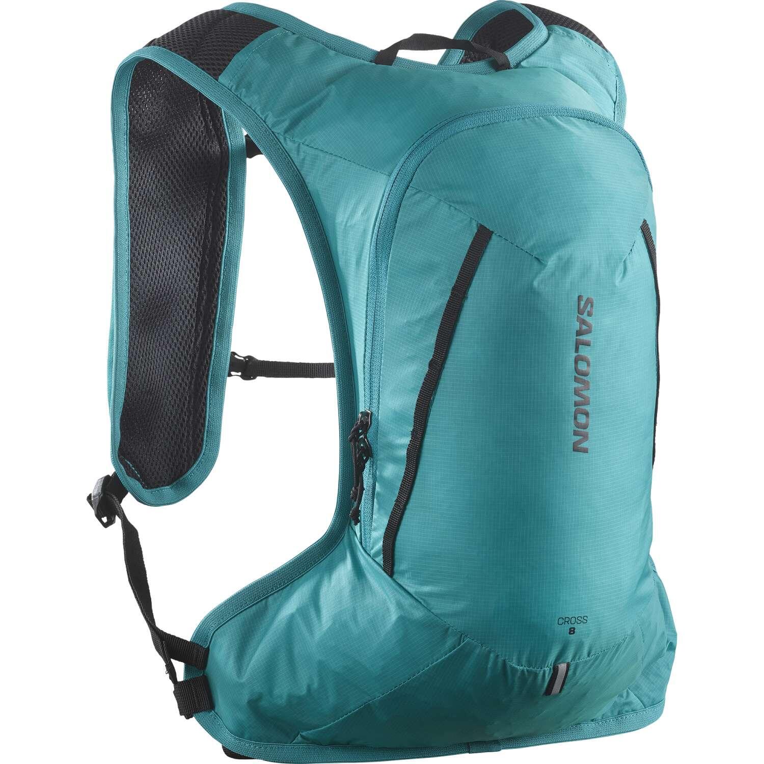 SALOMON picture
