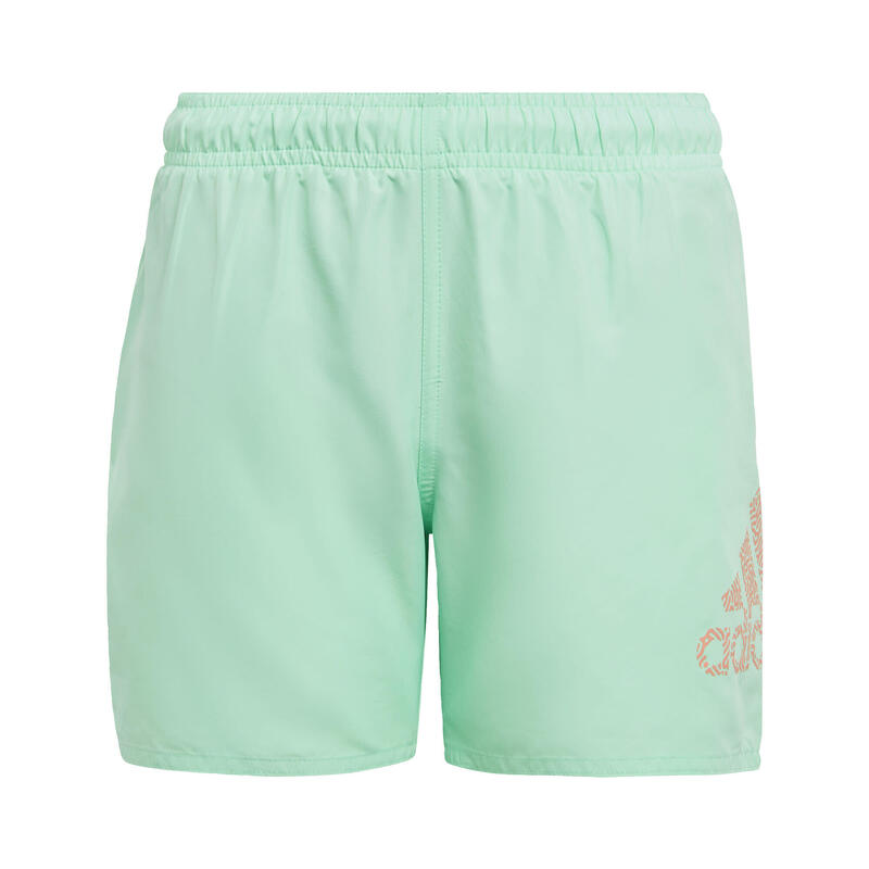 Logo CLX Swim Shorts