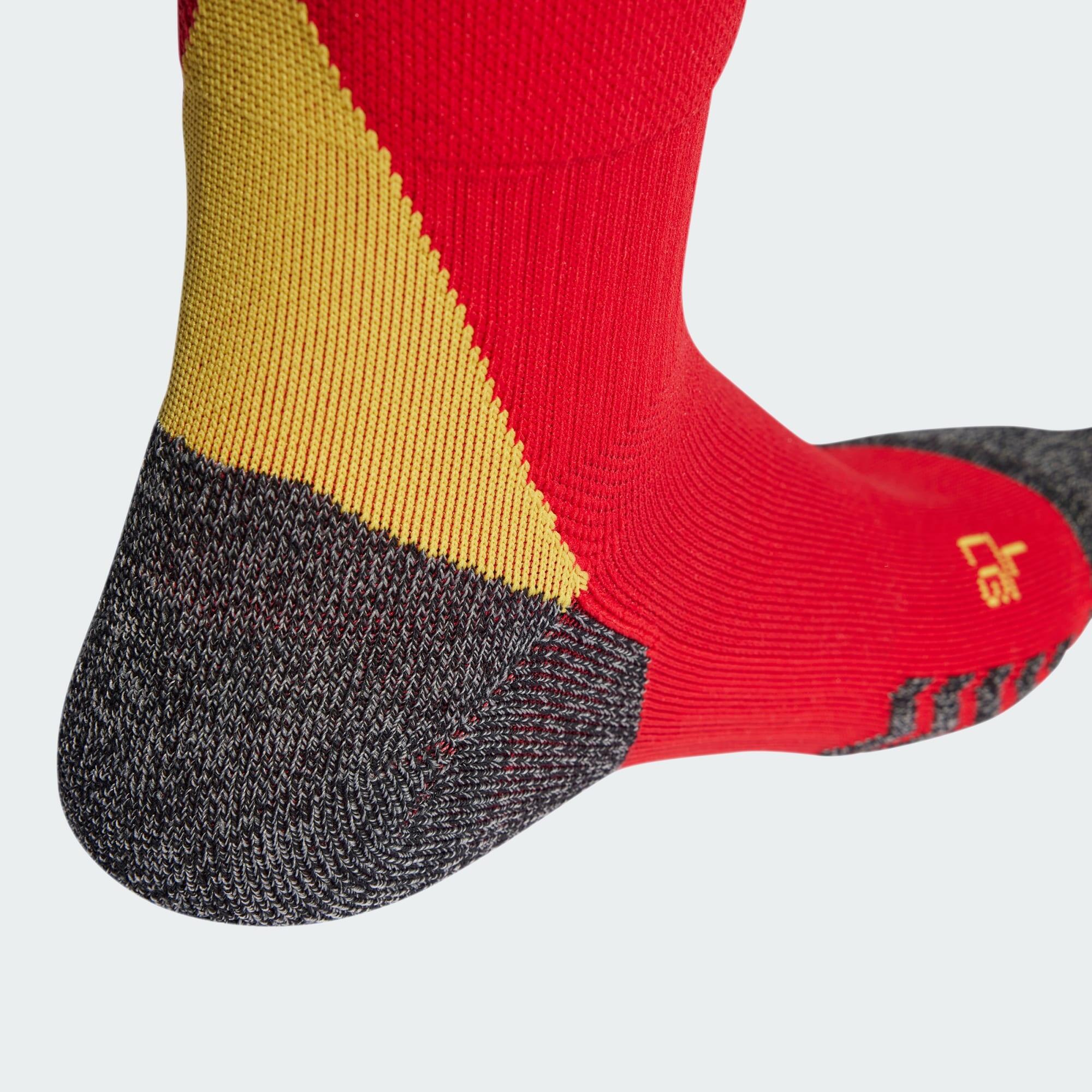 Spain 24 Home Socks 2/4